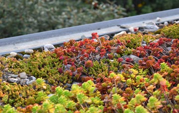 the cost of Smithwood Green green roof installation