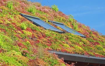 Smithwood Green living roof systems